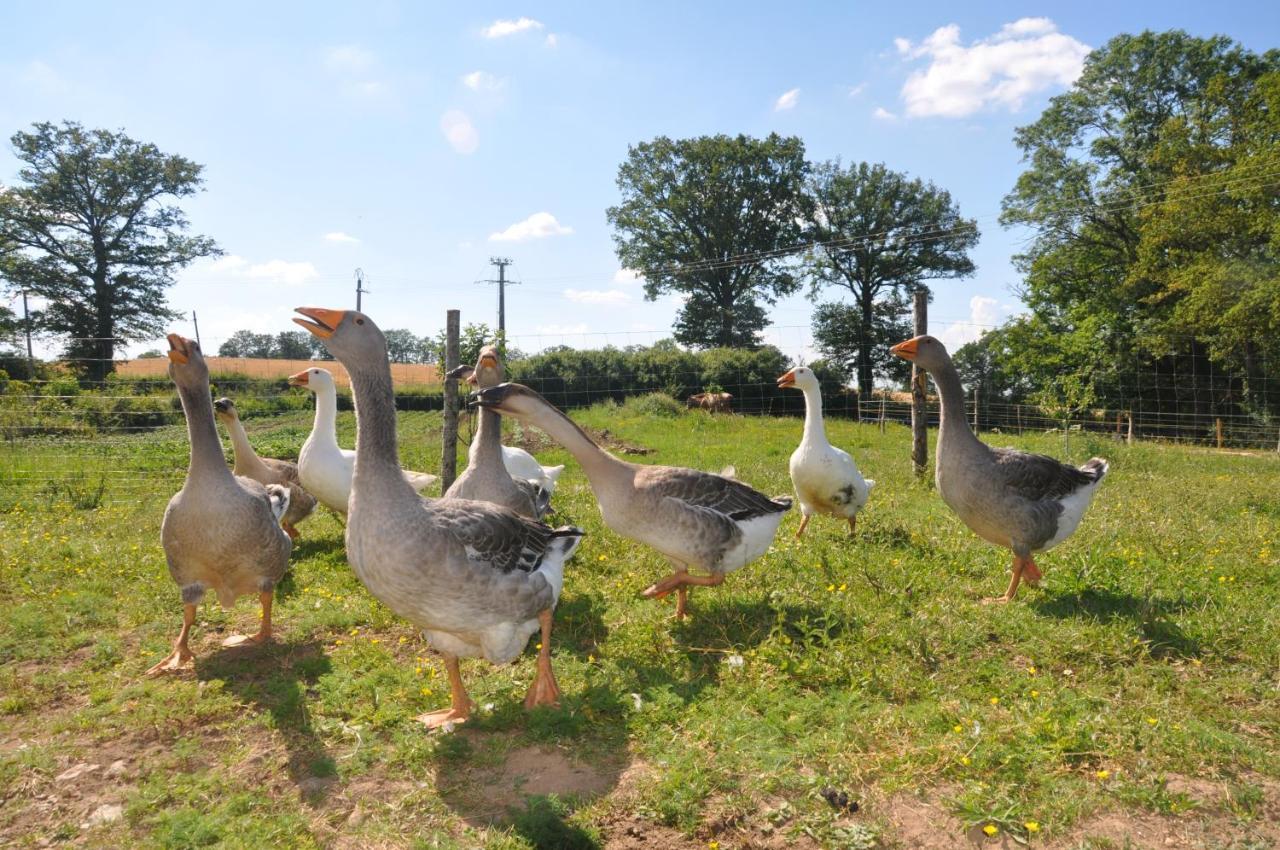 La Ferme Aux Cinq Sens Villa Bussiere-Boffy Kültér fotó